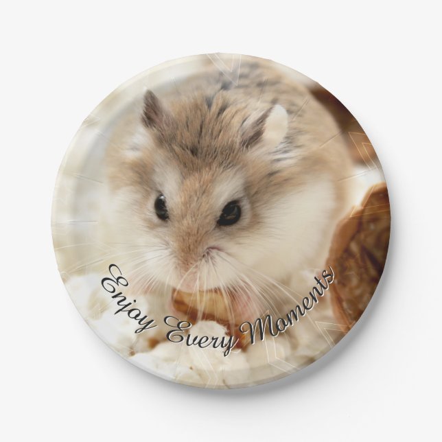 Hammyville - Cute Hamster Paper Plate (Front)