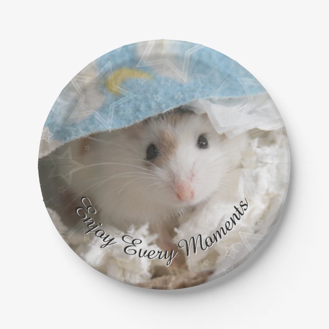 Hammyville - Cute Hamster Paper Plate (Front)