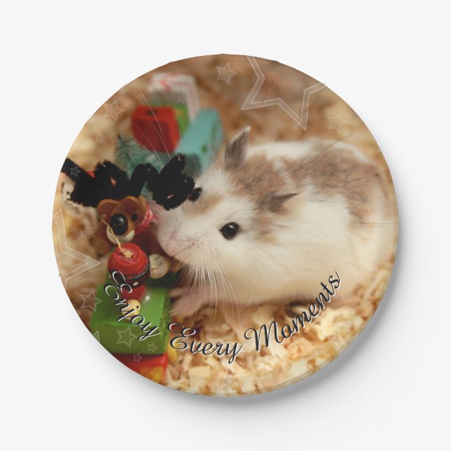 Hammyville - Cute Hamster Paper Plate (Front)