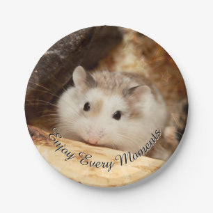 Hammyville - Cute Hamster Paper Plate