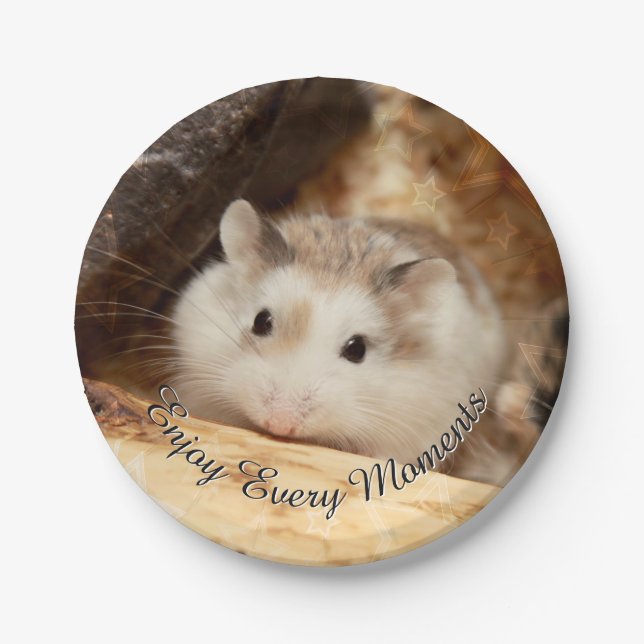Hammyville - Cute Hamster Paper Plate (Front)