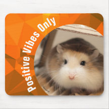HammyVille - Cute Hamster Positive Vibes Only