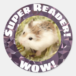 Hammyville - Cute Hamster Sparkly Encouragement Classic Round Sticker