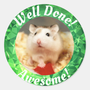 Hammyville - Cute Hamster Sparkly Encouragement Classic Round Sticker