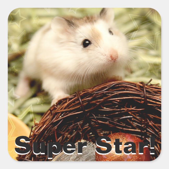 Hammyville - Cute Hamster Square Sticker (Front)