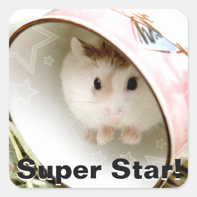 Hammyville - Cute Hamster Square Sticker (Front)