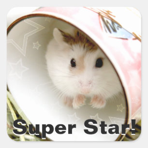 Hammyville - Cute Hamster Square Sticker