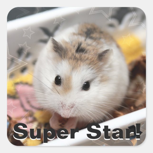 Hammyville - Cute Hamster Square Sticker (Front)