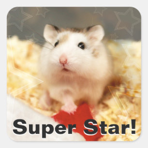 Hammyville - Cute Hamster Square Sticker