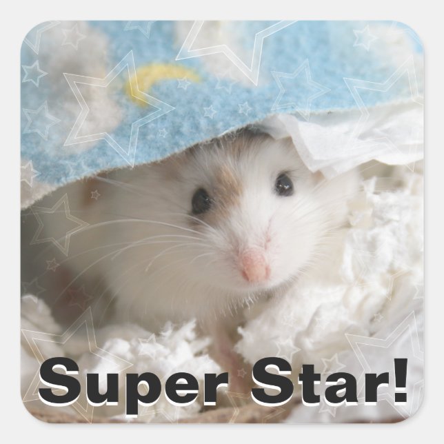 Hammyville - Cute Hamster Square Sticker (Front)