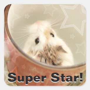 Hammyville - Cute Hamster Square Sticker