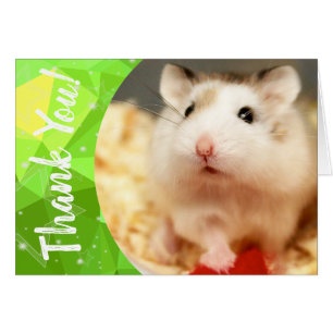 Hammyville - Cute Hamster Thank You