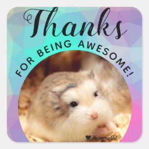 HammyVille - Cute Hamster Thanks for being Awesome Square Sticker
