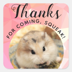 HammyVille - Cute Hamster Thanks for Coming Squeak Square Sticker