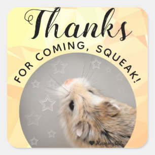 HammyVille - Cute Hamster Thanks for Coming Squeak Square Sticker