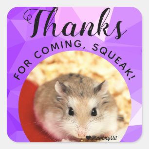 HammyVille - Cute Hamster Thanks for Coming Squeak Square Sticker