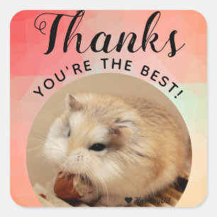HammyVille - Cute Hamster Thanks You're the Best Square Sticker