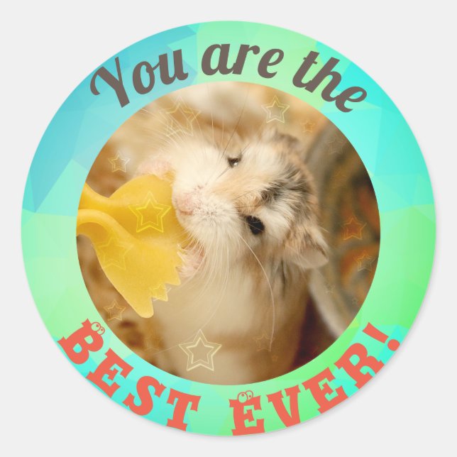 HammyVille - Cute Hamster You are So Awesome Classic Round Sticker (Front)