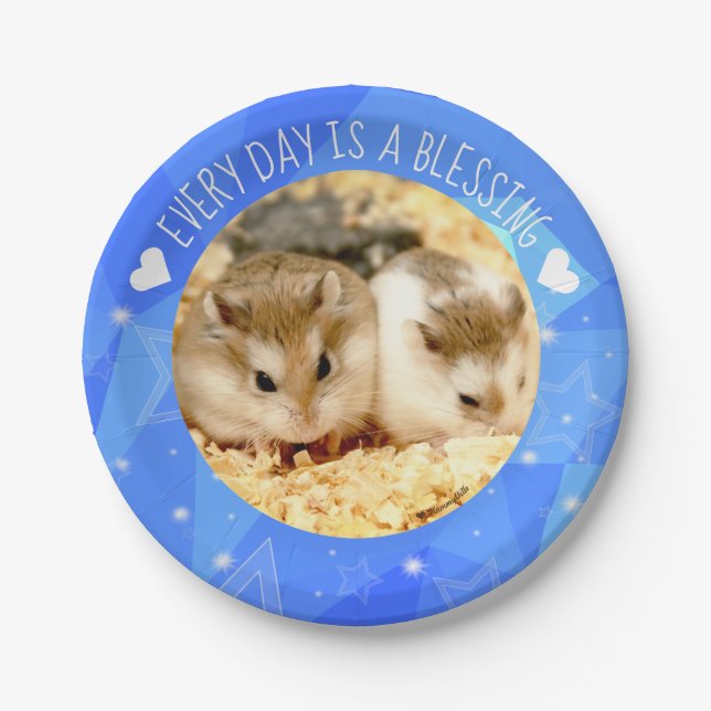 Hammyville - Cute Robo Hamster Blessing Paper Plate (Front)