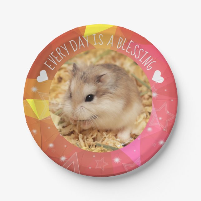 Hammyville - Cute Robo Hamster Blessing Paper Plate (Front)