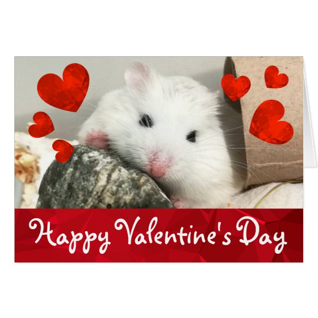 HammyVille - Cute Robo Hamster Valentine (Front Horizontal)