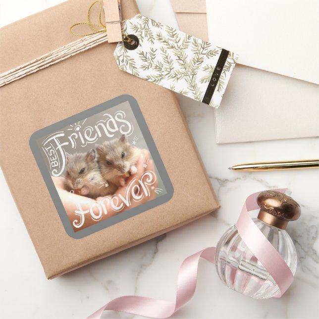 Hammyville - Hamster Best Friends Forever Square Sticker (Gifting)