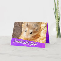 Hammyville - Hamster Congratulations