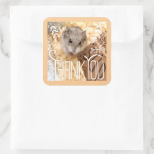 Hammyville - Hamster Thank You Square Sticker