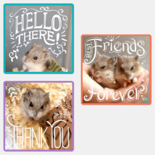 Hammyville - Hamsters Hello, BFF, Thank You