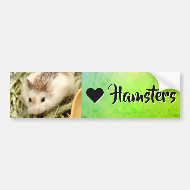 Hammyville - I Love Hamster Bumper Sticker (Front)
