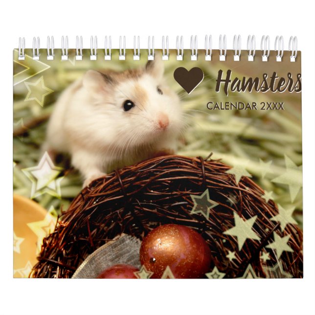 Hammyville - Light Stars Calendar (Cover)