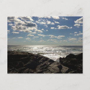 Hampton Beach NH Postcard