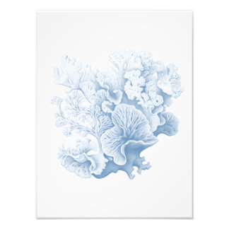 Hampton Coral soft blue  Photo Print