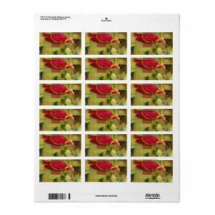 Hamsa and Damayanti by Raja Ravi Varma Label