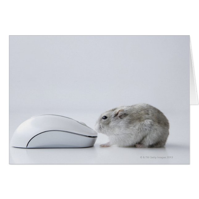 Hamster and Computer mouse (Front Horizontal)