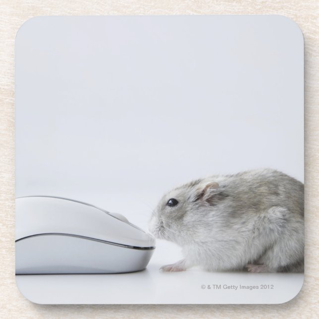 Hamster and Computer mouse Coaster (Front)