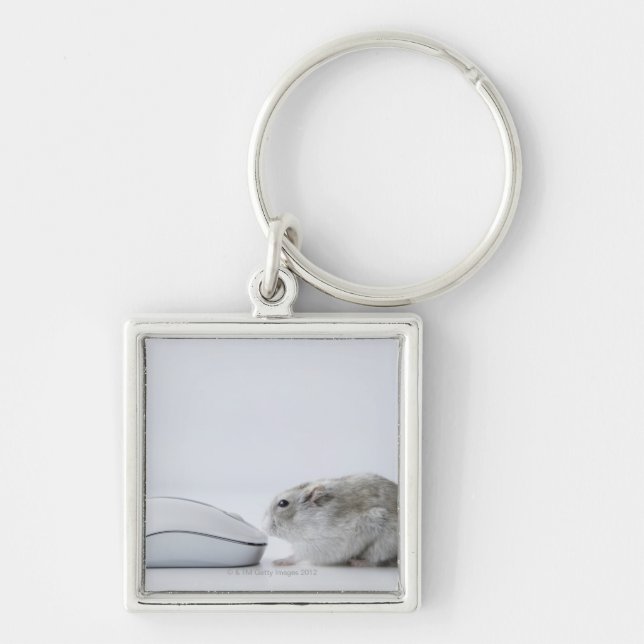 Hamster and Computer mouse Key Ring (Front)