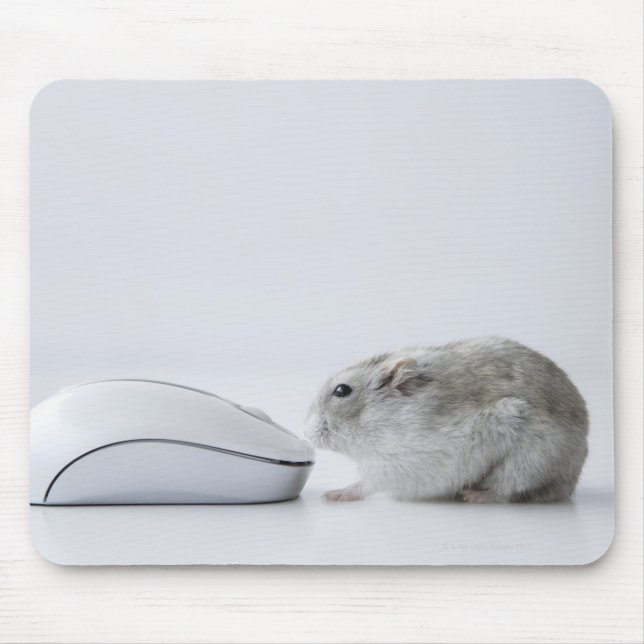 Hamster and Computer mouse Mat (Front)
