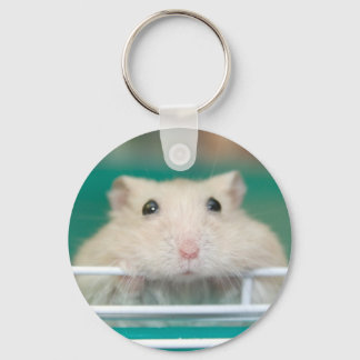 Hamster: Begging for Attention Key Ring