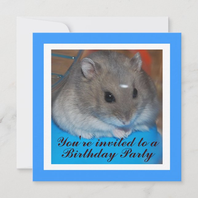 Hamster Birthday Party Invitation (Front)