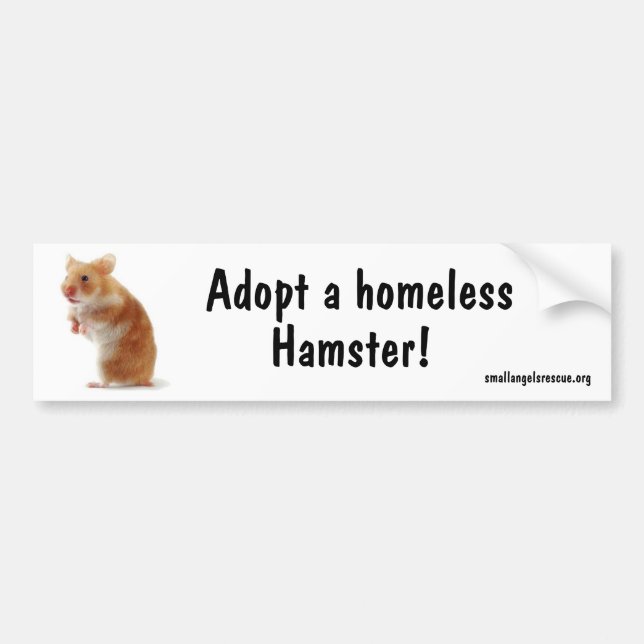 Hamster Bumpersticker Bumper Sticker (Front)