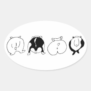 Hamster Butts Oval Sticker