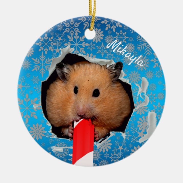Hamster Chews Hole in Christmas Ornament (Front)