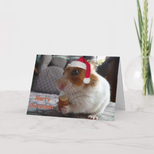 Hamster Christmas Card (Front)