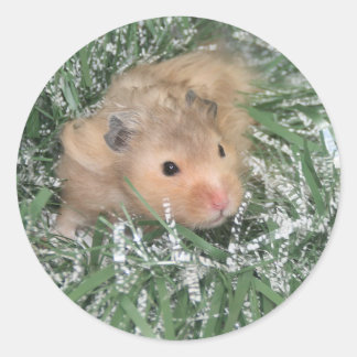 Hamster Christmas Classic Round Sticker