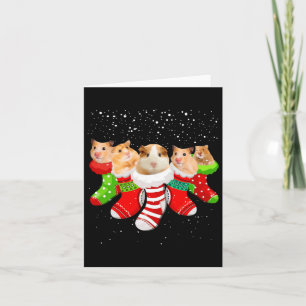 Hamster Christmas Socks Funny Xmas Gifts For Men W Card