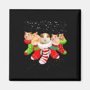 Hamster Christmas Socks Funny Xmas Gifts For Men W Magnet