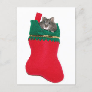 Hamster Christmas stocking Holiday Postcard