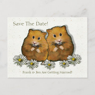 Hamster Couple, Daisies: Save the Date, Marriage Announcement Postcard
