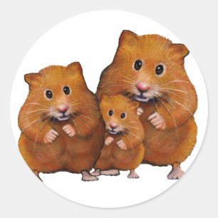 Hamster Family of Three: Cute: Colour Pencil Classic Round Sticker